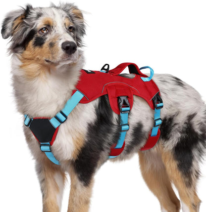 Rabbitgoo Escape Proof Dog Harness for Large, No Pull with Lift Handle | No Escape, Full Soft Padded, Reflective Adjustable Vest, Leash Clip for Walking Hiking Training, Black, Large37