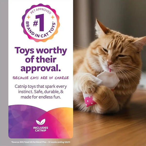 Smartykat (2 Count Tea Teazers Catnip Cat Toys - Pink/Orange, 2 Count2