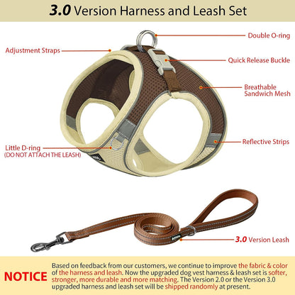 AIITLE No Pull Dog Harness and Leash Set, Step in Adjustable Dog Harness with Padded Vest for All Weather, Dog Leash with Soft Padded Handle, Easy to Put on Small and Medium Dogs Beige S3