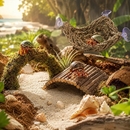 HERCCOCCI Hermit Crab Accessories, Hermit Crab Toys Flexible Climbing Bridge Reptile Hammock Habitat Decor for Hermit Crabs Leopard Geckos Crested Tortoise Snake2