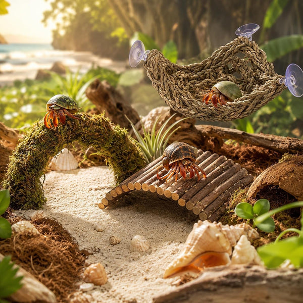 HERCCOCCI Hermit Crab Accessories, Hermit Crab Toys Flexible Climbing Bridge Reptile Hammock Habitat Decor for Hermit Crabs Leopard Geckos Crested Tortoise Snake2