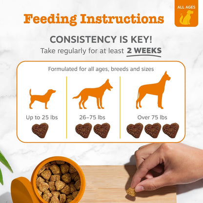 Zesty Paws Scoot Away Soft Chews - Healthy Bowel Function with Bromelain, Vita Fiber for Dogs, & Dandelion Root for Dog Digestive Support and Gut Health - 90 Soft Chews4
