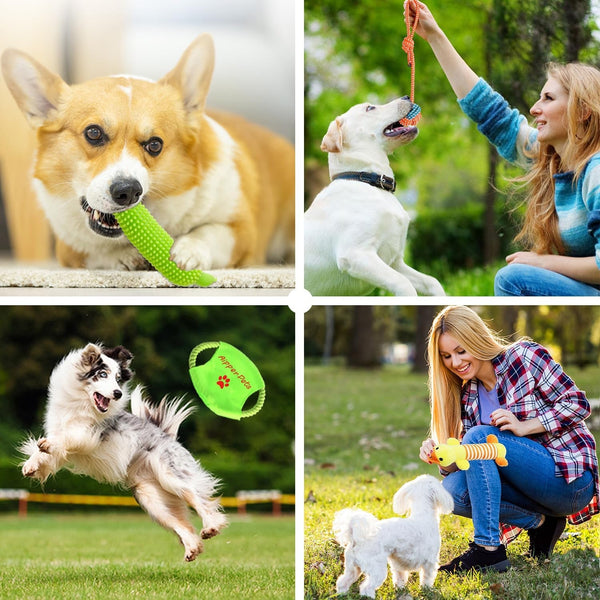 Aipper Dog Toys 25 Pack for Fun and Teeth Cleaning, Puppy Chew Toys Pack with Squeak Plush Toy,Squeaky Toy Balls,Tug of War and Rope Toys for Puppy to Small Dogs7