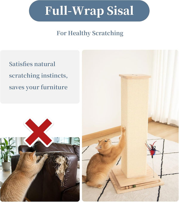 Sturdy Cat Scratching Post for Indoor Cats & Kittens, Classic Single Post with Sisal Rope, Jute Fiber, Wood Base3