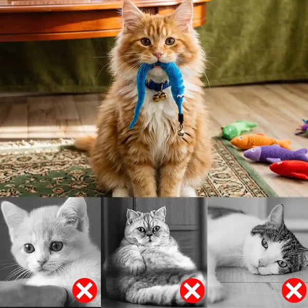 Kuuguu 24 PCS Cat Worm Toy Replacement Teaser with Bell Refills Indoor Cat'S Interactive Wand and Catch Wand Soft Squiggly Worm Teaser Refills Attachment Interactive Catch Toy Accessories （6 Color）7