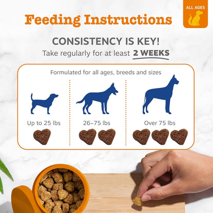 Zesty Paws Multi Collagen Soft Chews for Dogs - for Hip, Joint & Cartilage Support + Skin Health - with Collagen - plus Eggshell Membrane, Vitamin C & Hyaluronic Acid - 90 Count4