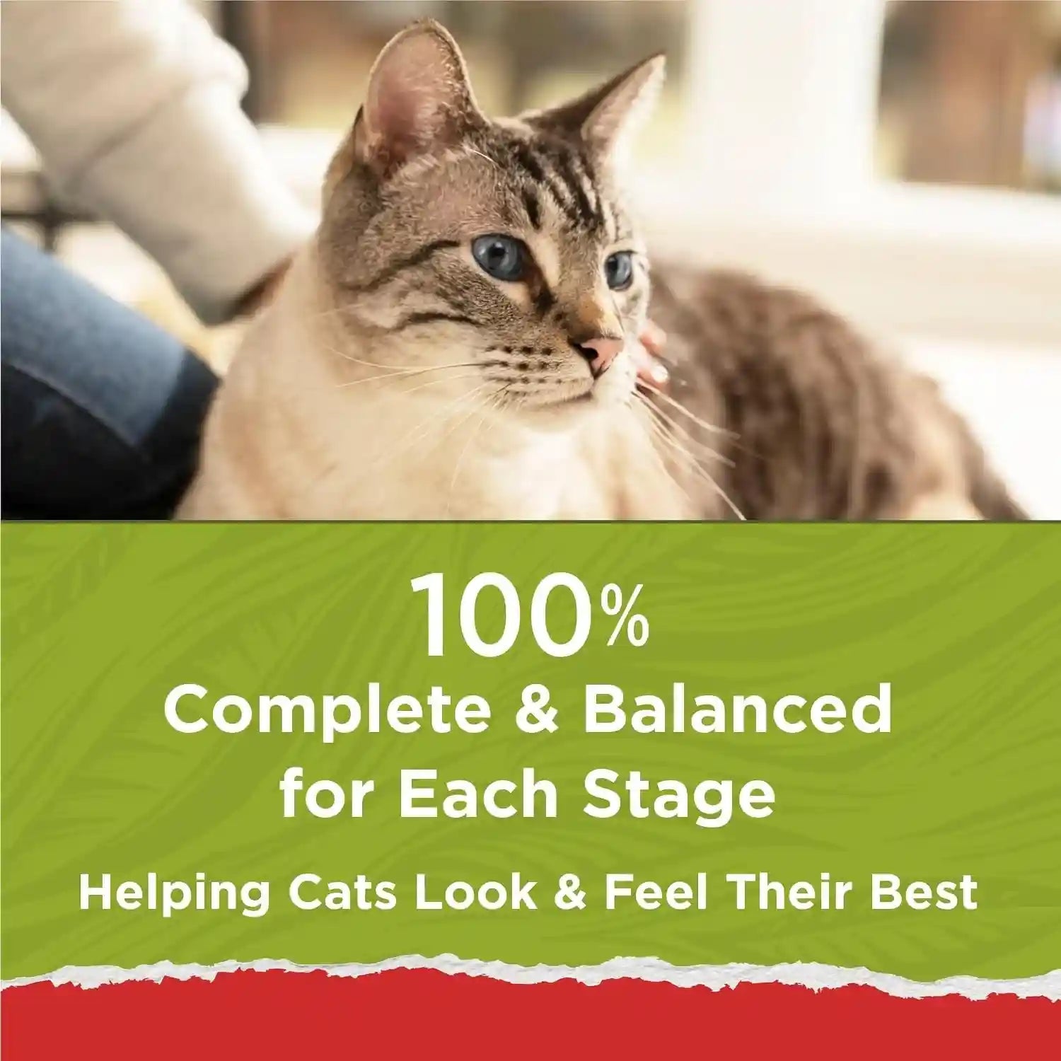 purina-cat-chow-naturals-with-added-vitamins-minerals-and-nutrients-dry-cat-food-naturals-original-pack-of-4-3-15-lb-bags