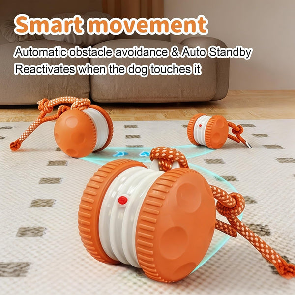 Interactive Dog Toys, Automatic Rolling Ball with Rope, Orange | Motion-Activated Play, Random Path Electric Dog Ball, Bird Sounds, Mental Stimulation for Boredom Relief4