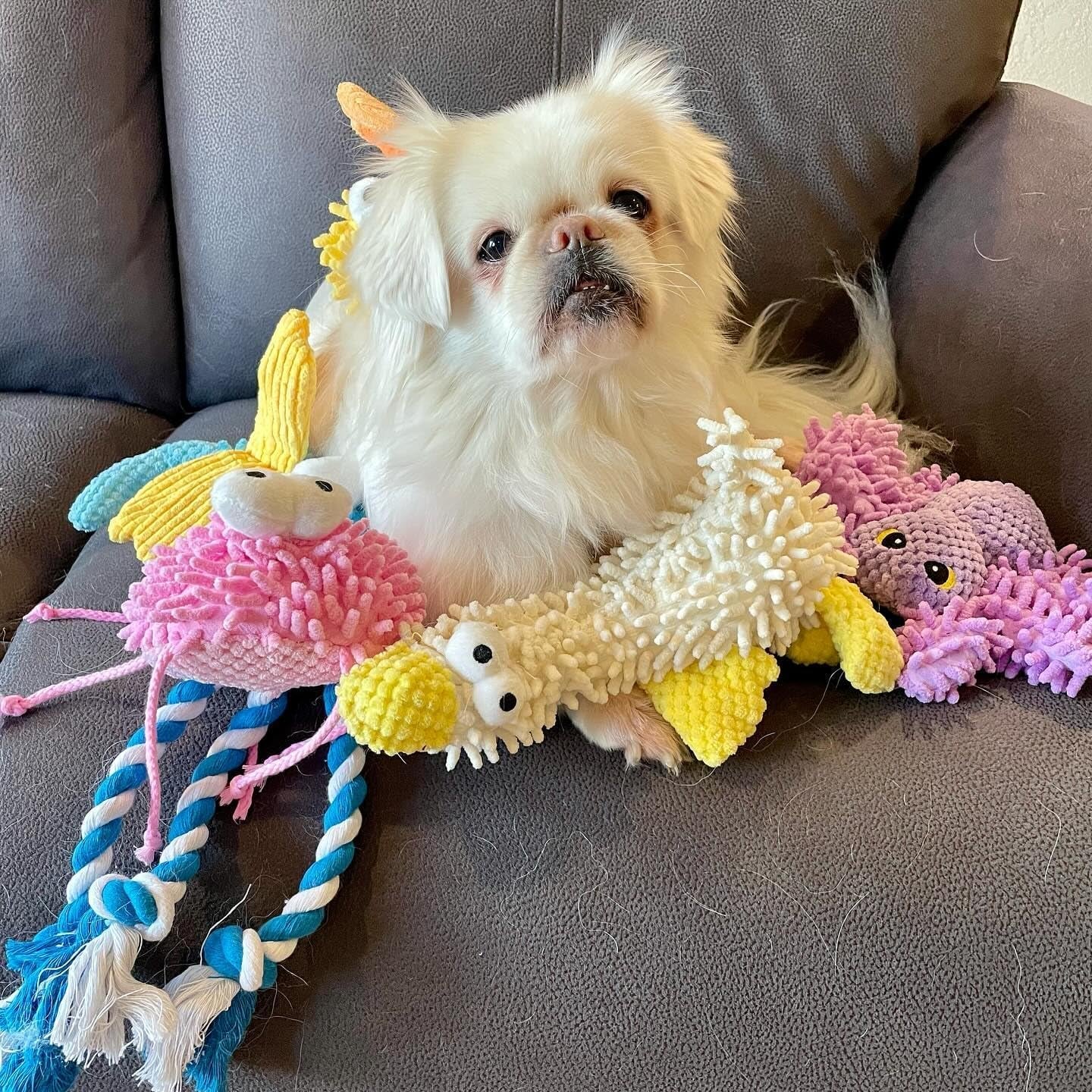 nocciola-5-packs-squeaky-dog-toy-plushies-cute-soft-squeak-crinkle-plush-stuffed-durable-pet-animal-chew-puppy-toys-for-small-meidum-large-breed