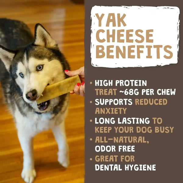 Mighty Paw Yak Chews, Long Lasting Hard Chew for Large Dogs, 4 Pack | Milk, Salt & Lime Juice, Grain-Free, Lactose-Free, Odor-Free, 68G Protein per Stick, Aggressive Chewers, Puppy Teething2