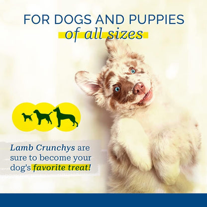 PCI Pet Center Inc Lamb Crunchys Raw Dehydrated Lamb Dog Treats, 16 Oz Pack | Made in USA Dog Treats from Single-Ingredient Lamb Lung, for Dogs of All Ages - Can Be Used for Training or Daily Treats6