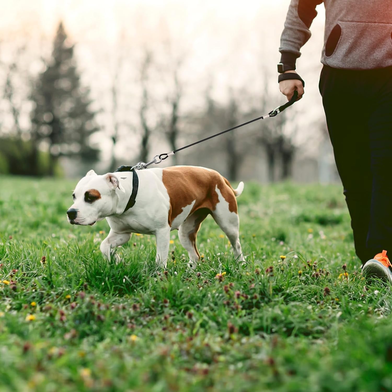 2-pcs-chew-proof-metal-dog-cable-lead-single-hook-no-tangle-leash-extender-for-small-medium-dogs-collar-harness