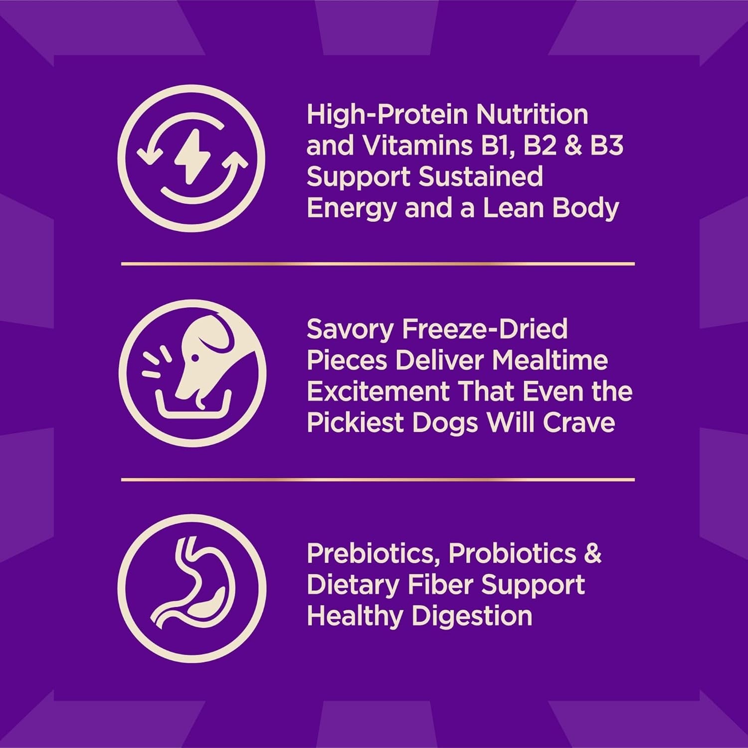 wellness-core-small-breed-adult-dry-dog-food-with-freeze-dried-pieces-grain-free-kibble-natural-high-protein-turkey-and-chicken-recipe-4-lb-bag