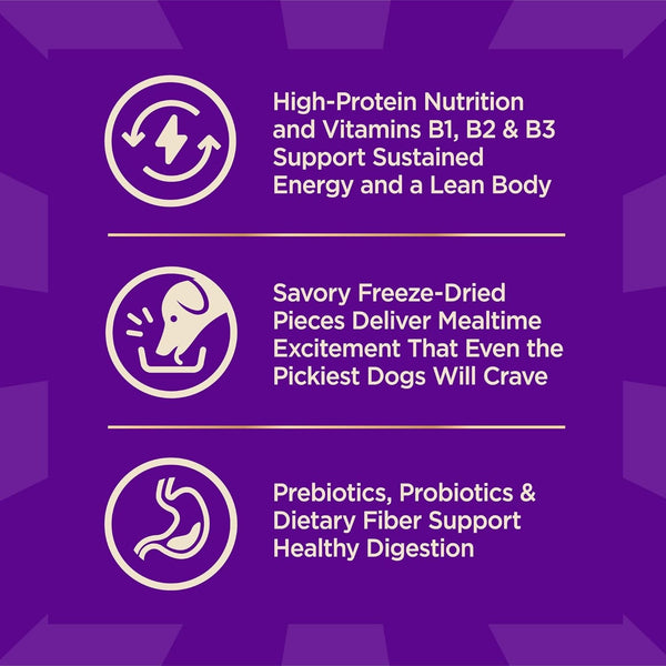 Wellness CORE+ Small Breed Adult Dry Dog Food with Freeze Dried Pieces, Grain Free Kibble+, Natural, High Protein, Turkey and Chicken Recipe, 4 Lb Bag6