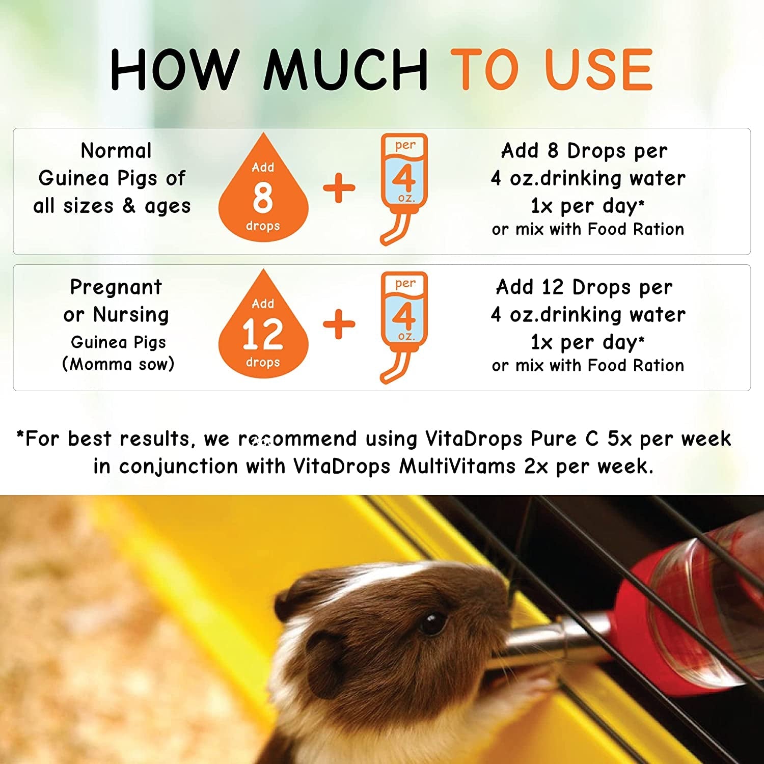 oasis-80254-vita-drops-pure-c-for-guinea-pig-2-ounce-packaging-may-vary