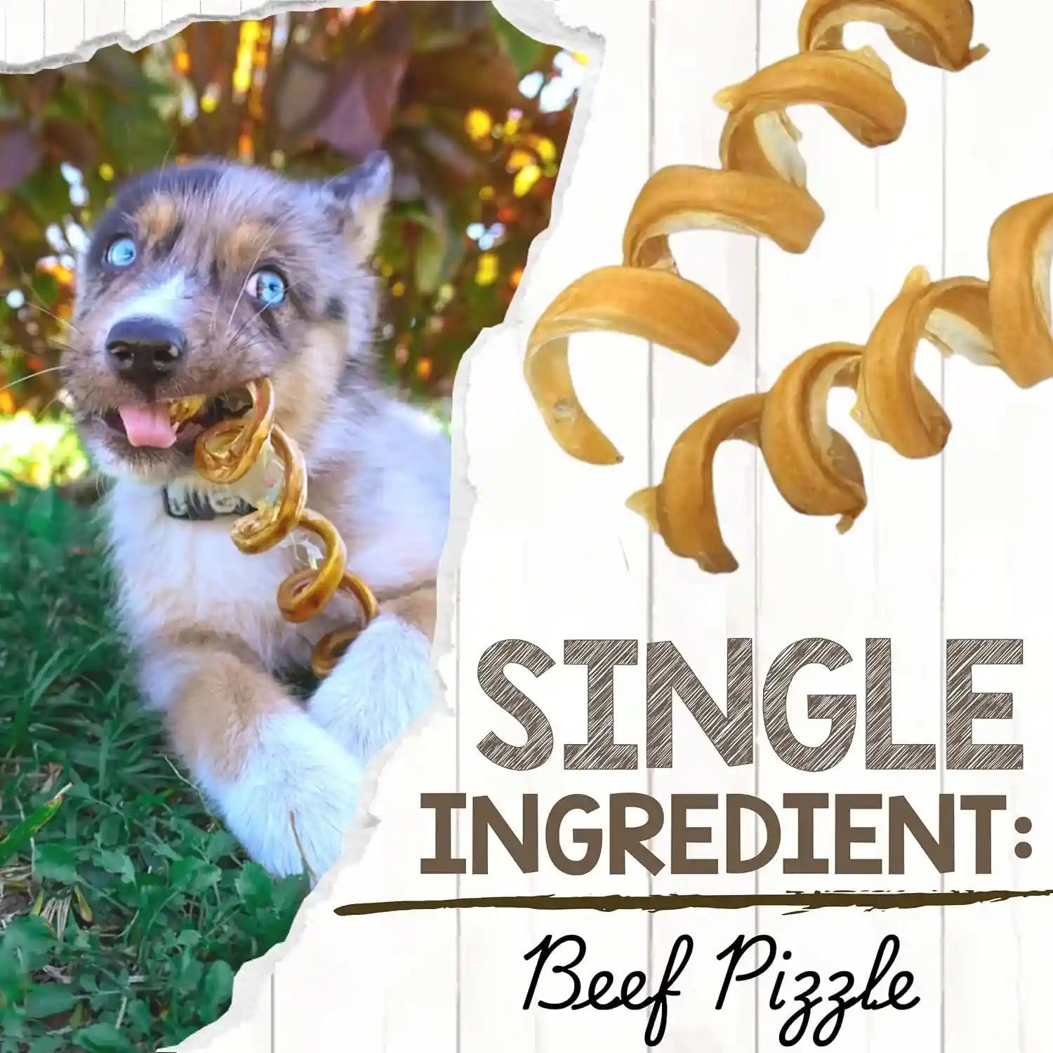 nature-gnaws-bully-stick-springs-for-dogs-7-8-6-count-long-lasting-for-aggressive-chewers-natural-curly-beef-dog-chew-bones-rawhide-free