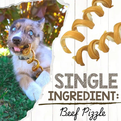 Nature Gnaws Bully Stick Springs for Dogs 7-8" (6 Count) - Long Lasting for Aggressive Chewers - Natural Curly Beef Dog Chew Bones - Rawhide Free3