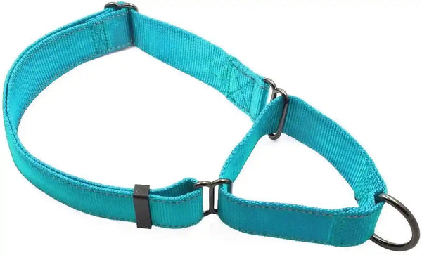 Max and Neo Nylon Martingale Collar - We Donate to a Dog Rescue for Every Collar Sold (Medium, Orange)20