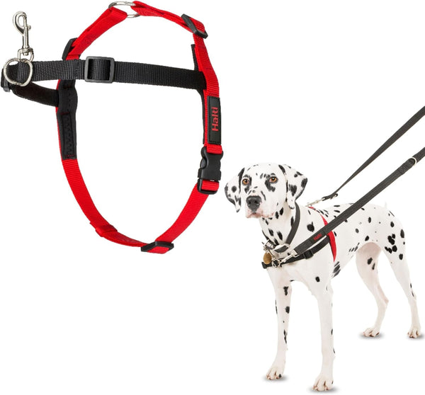 Halti Front Control Harness - Stop Your Dog Pulling on the Leash. Adjustable, Lightweight and Easy to Use. Anti-Pull Dog Training Harness for Medium Dogs (Size M) | Dog Harness to Stop Pulling on the Leash | Anti-Pull Training Aid | Front Leading No Pull Harness for Medium Dogs1