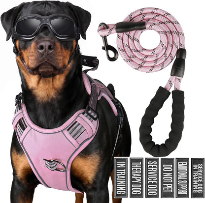 Service Dog Tactical Vest Harness and Leash Set Large Sized Dog Emotional Support- Tactical Dog Harness Training Collar with Name (Black, L)10