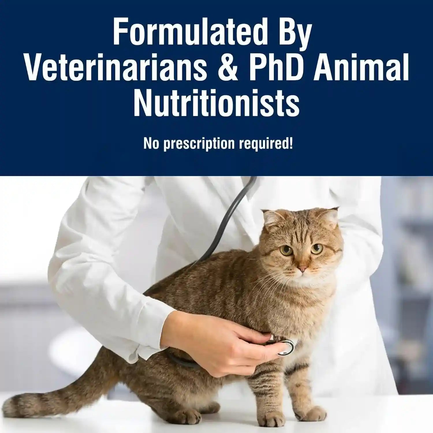blue-buffalo-true-solutions-digestive-care-natural-dry-cat-food-for-adult-cats-chicken-3-5-lb-bag