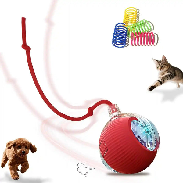 2-Pack USB Rechargeable Smart Cat Toy Ball, 360° Rotation Automatic Moving Chase Toy, Obstacle Avoidance Interactive Play with 4 Spiral Springs, Enrichment Toys for Indoor Cats, Puppies & Small Dogs10