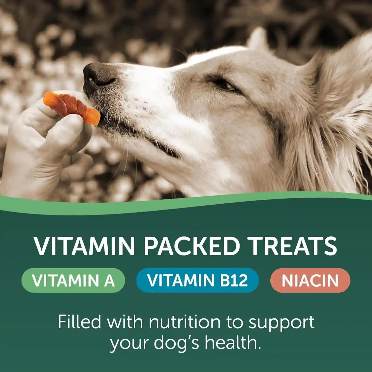 healthfuls-chicken-wrapped-sweet-potato-dog-treats-16oz