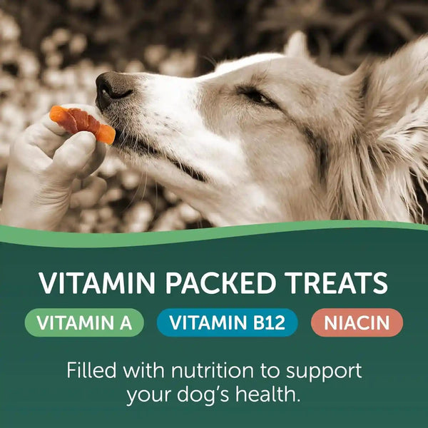 Healthfuls Chicken Wrapped Sweet Potato Dog Treats, 16Oz4