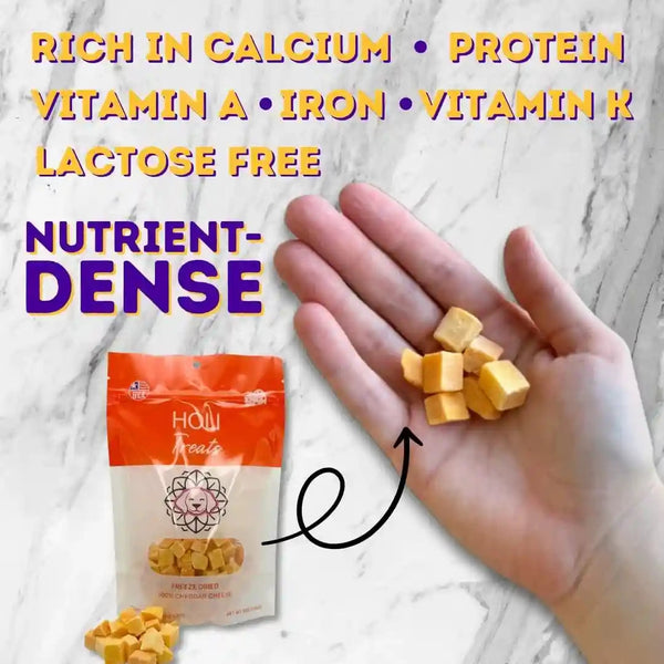HOLI Freeze Dried Cheddar Cheese Dog Treats - 100% All Natural - Human Grade, Single Ingredient, Lactose Free - Grain Free, Gluten Free, Soy Free – (5 Ounce)6