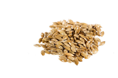 Raw Garden Canary Seed Alpiste, Silica Free for Human Consumption (4 Lbs) | 100% Silica-Free | Plant-Based Protein | Vegan Milk Alternative | Dietary Fiber5