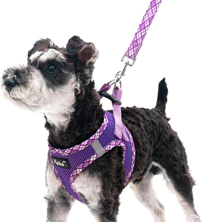 PUPTECK Dog Harness and Leash Set for Small Medium Dogs No Pull Step-In Soft Mesh Puppy Cat Vest Harnesses Reflective at Night, Green S8