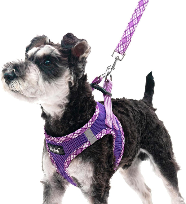 PUPTECK Dog Harness and Leash Set for Small Medium Dogs No Pull Step-In Soft Mesh Puppy Cat Vest Harnesses Reflective at Night, Green S8