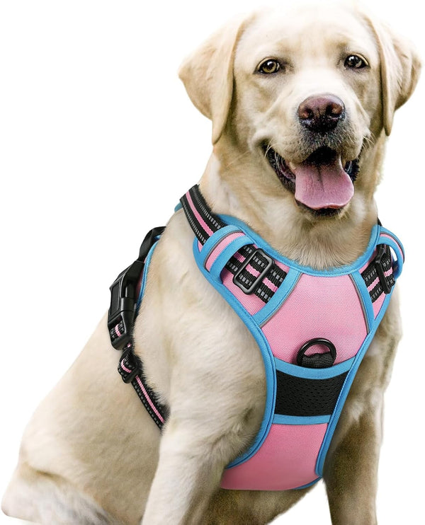 Rabbitgoo Dog Harness, No Pull for Large Dogs with 2 Leash Clips, Pet Vest | No Choke with Handle, Adjustable Soft Padded, Reflective, Easy Control for Walking, Black, Large78