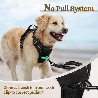 Rabbitgoo Dog Harness, No Pull for Large Dogs with 2 Leash Clips, Pet Vest | No Choke with Handle, Adjustable Soft Padded, Reflective, Easy Control for Walking, Black, Large5