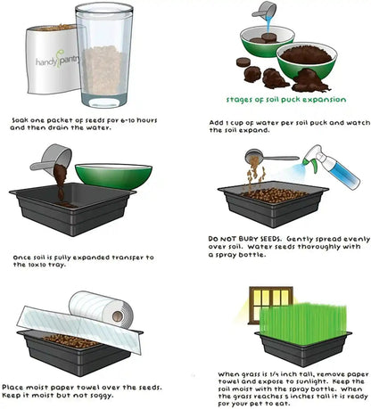 Handy Pantry Organic Cat Grass Kit - Includes 3 Trays, Soil Pucks, and 3 Packs Non GMO Wheatgrass Seed - a Healthy Treat for Cats, Dogs, Rabbits, More7