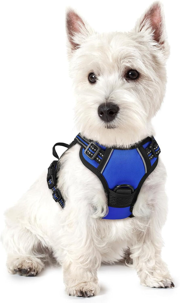 Rabbitgoo Dog Harness, No Pull for Large Dogs with 2 Leash Clips, Pet Vest | No Choke with Handle, Adjustable Soft Padded, Reflective, Easy Control for Walking, Black, Large12
