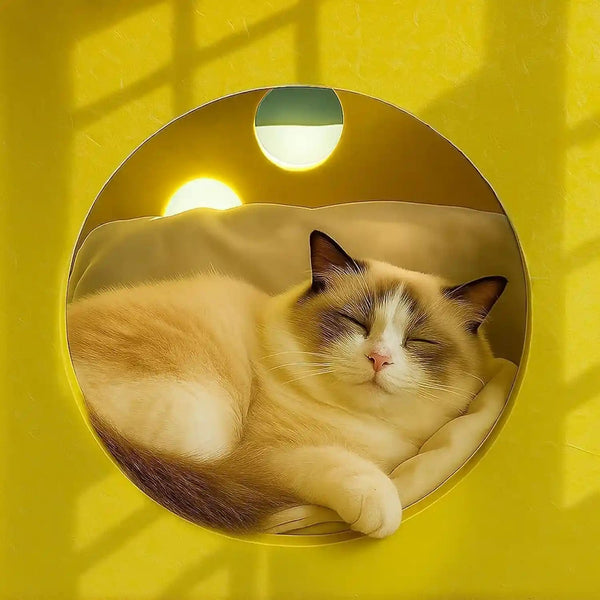 41 Pcs Interactive Cat Toys for Indoor Cats, Kitten Toys with Soft Pillow, Catnip Toys, Chew Rope, Feather Wand, Springs and Balls for Indoor Kittens9