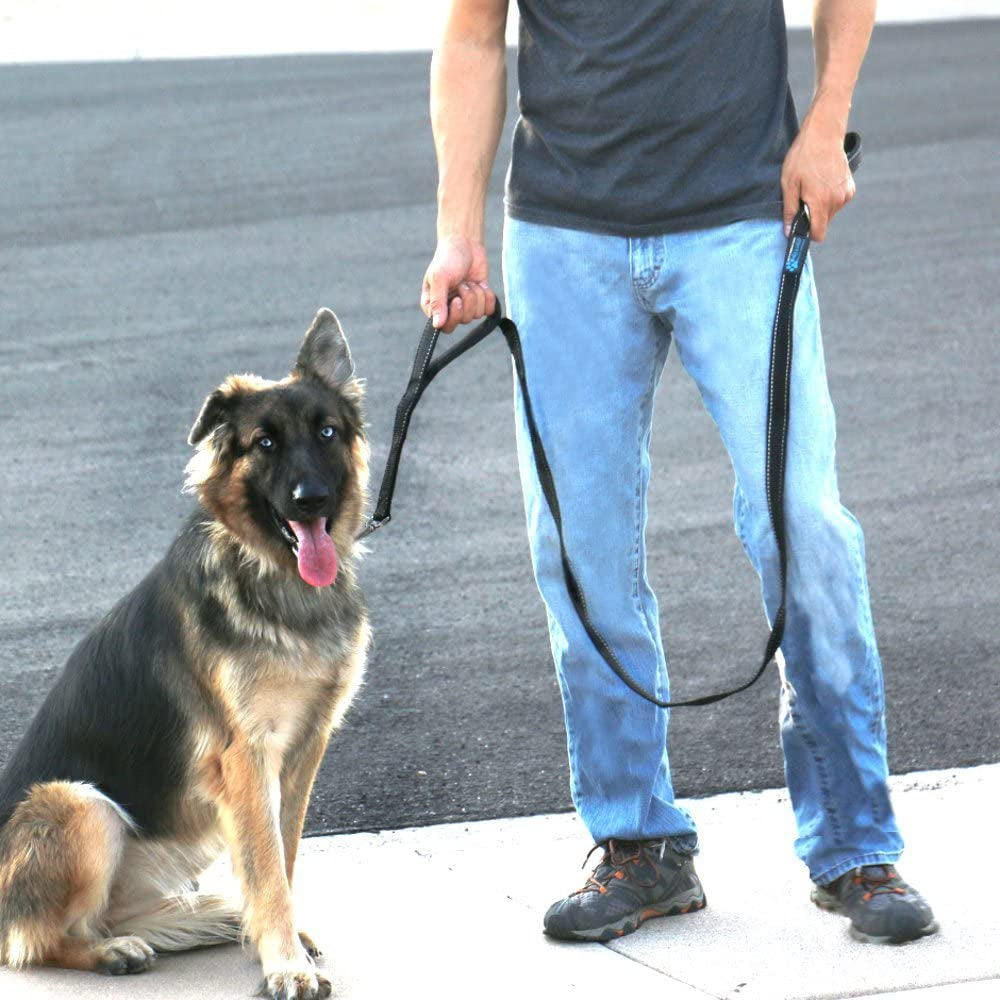 max-and-neo-double-handle-traffic-dog-leash-reflective-donates-to-dog-rescue-black-6-ft