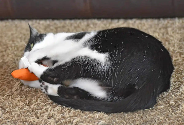 Ourpets 100-Percent North American Catnip Filled Carrot Cat Toy 24 Karat7