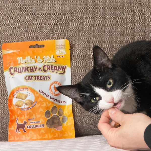 Fieldcrest Farms Collagen Cat Treats, Chicken, Crunchy & Creamy, 3 Oz Pouch | Supports Skin, Coat & Joints, High Protein, No Wheat or Soy, Great for Training & Rewards, All Life Stages12