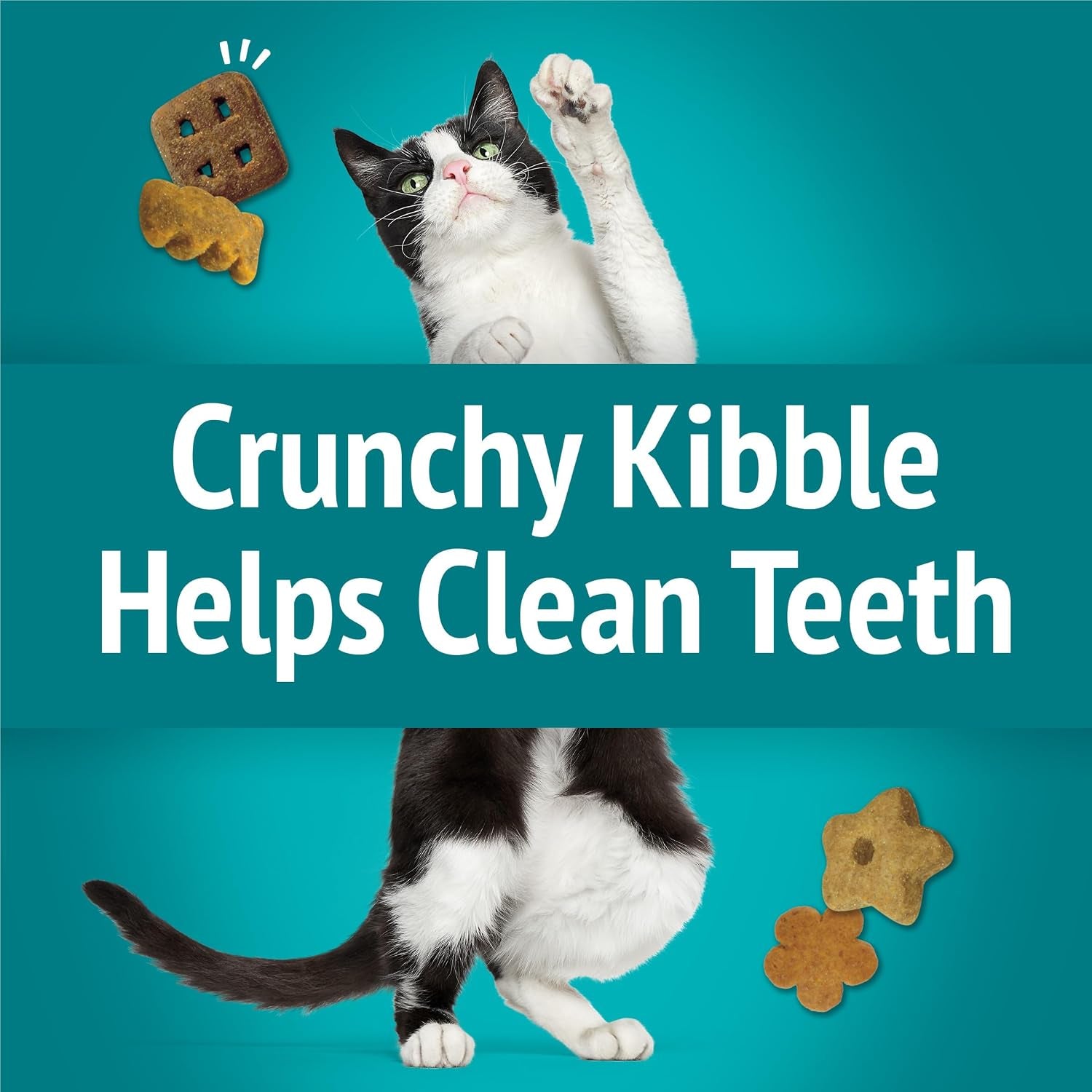purina-friskies-cat-treats-party-mix-meow-luau-crunch-pack-of-10-2-1-oz-pouches