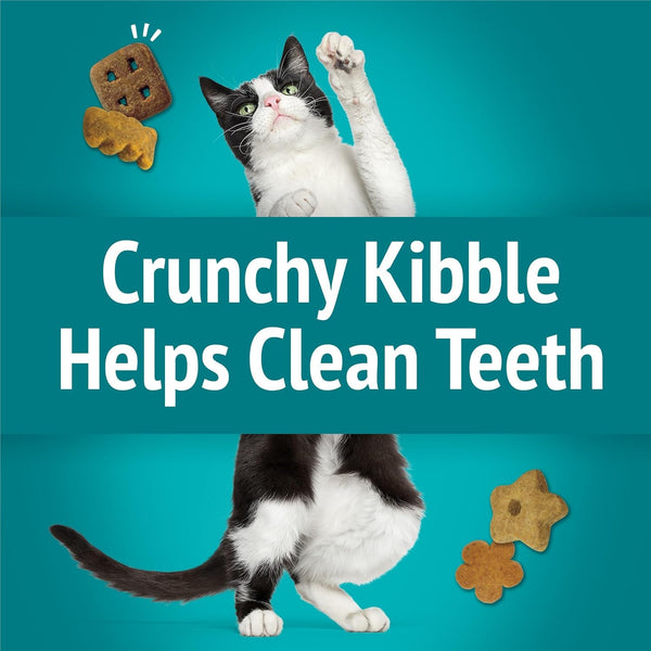 Purina Friskies Cat Treats, Party Mix Meow Luau Crunch - (Pack of 10) 2.1 Oz. Pouches5