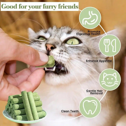 30G Cat Grass Sticks, Freeze Dried Cats Grass Teething Stick, Edible Cat Chew Toy for Teeth Cleaning Dental Health and Hairball Removal4