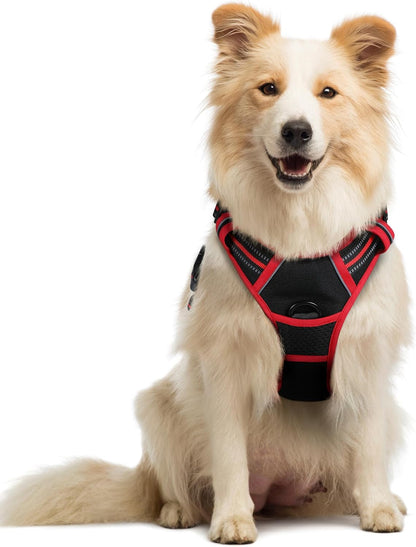 Rabbitgoo Dog Harness, No Pull for Large Dogs with 2 Leash Clips, Pet Vest | No Choke with Handle, Adjustable Soft Padded, Reflective, Easy Control for Walking, Black, Large28