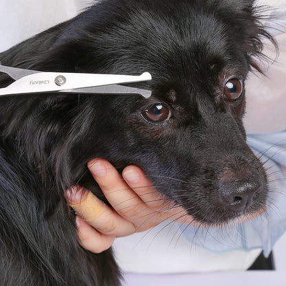 Chibuy Professional Pet Grooming Scissors with round Tip Stainless Steel Dog Eye Cutter for Dogs and Cats, Professional Grooming Tool, Size 6.70" X 2.6" X 0.43" 1. Grey5