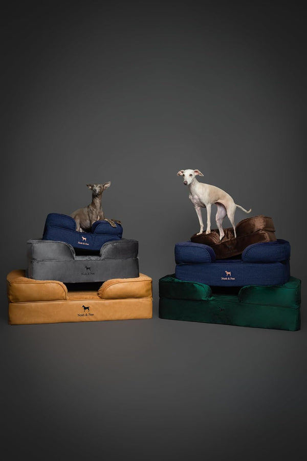 NOAH & PAW Large Dog Bed, 35X25X11 Inch, Orthopedic Dog Beds, Eggshell Memory Foam Infused with Cooling Gel, Inner Cover, Water Resistant, Machine Washable (Faux Leather)9
