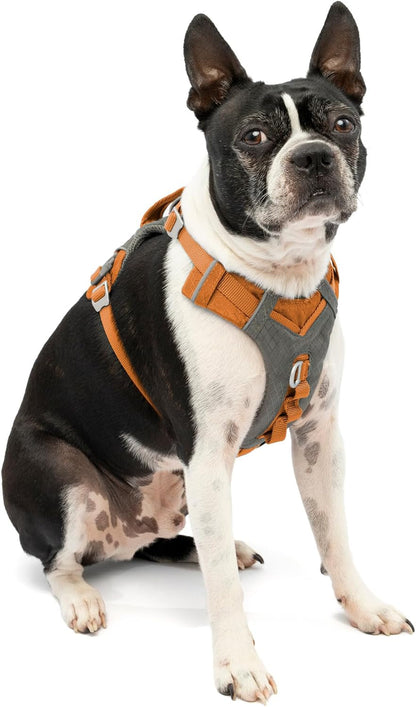 Kurgo Journey Air Dog Harness, Blue, Small | Padded Chest, Ripstop Outer & Breathable Mesh, Back Assist Handle, Rust-Free Aluminum Hardware, Reflective Trim15
