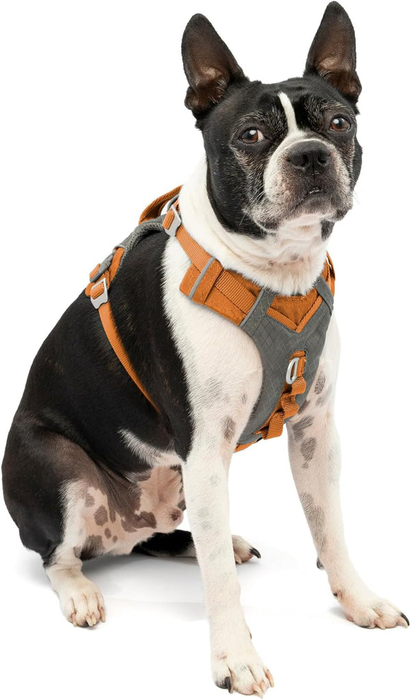 Kurgo Journey Air Dog Harness, Blue, Small | Padded Chest, Ripstop Outer & Breathable Mesh, Back Assist Handle, Rust-Free Aluminum Hardware, Reflective Trim15