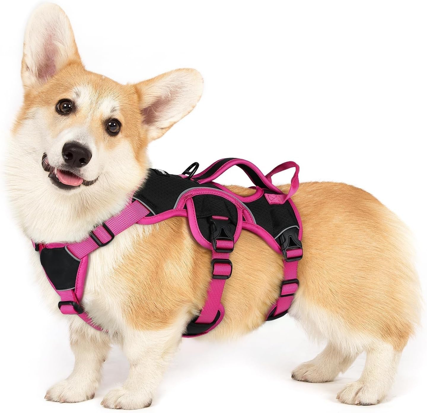 rabbitgoo-escape-proof-dog-harness-for-large-no-pull-with-lift-handle-no-escape-full-soft-padded-reflective-adjustable-vest-leash-clip-for-walking-hiking-training-black-large