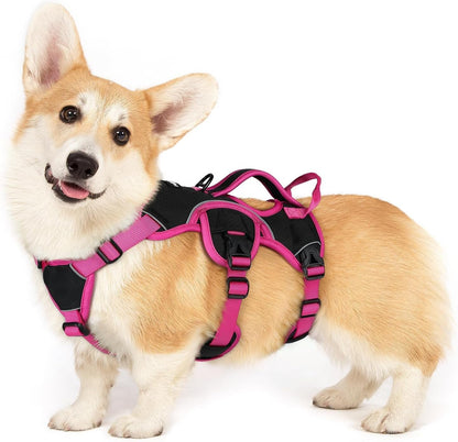 Rabbitgoo Escape Proof Dog Harness for Large, No Pull with Lift Handle | No Escape, Full Soft Padded, Reflective Adjustable Vest, Leash Clip for Walking Hiking Training, Black, Large40